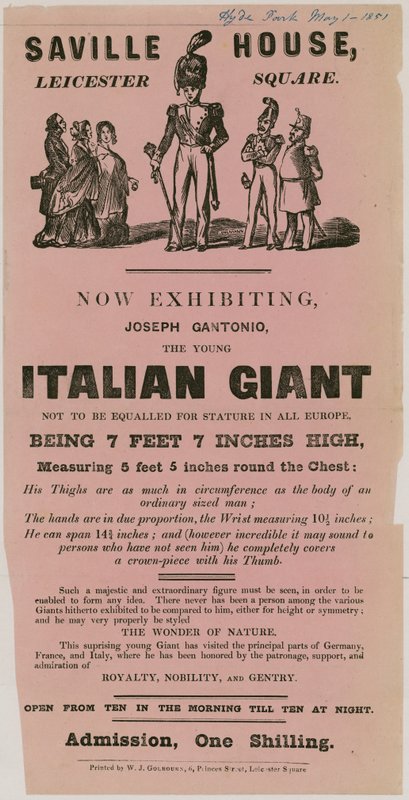 广告为年轻的意大利巨人Joseph Gantonio 作者 英语学校