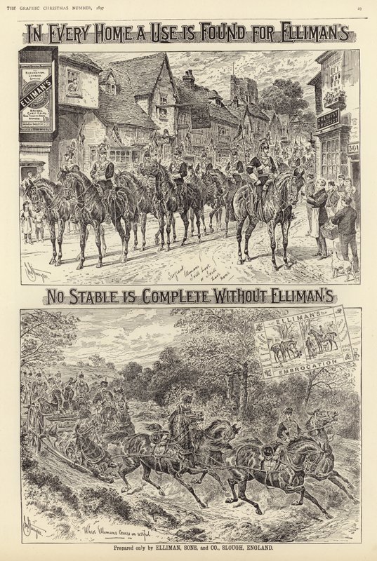 Ellimans Embrocation的广告 作者 英语学校