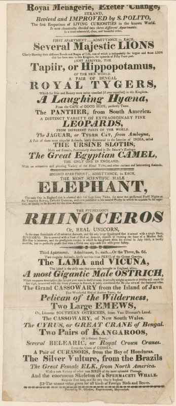 Royal Menagerie，Exeter Change的广告 作者 英语学校