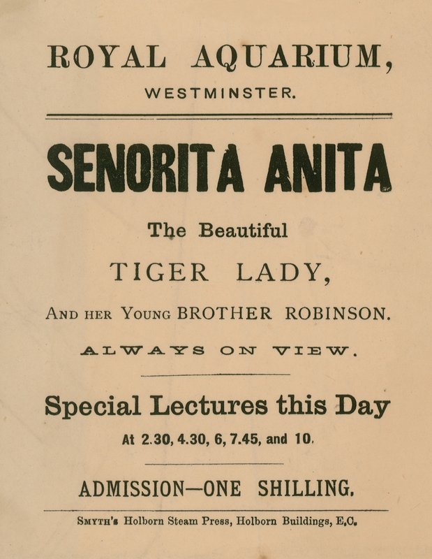 Senorita Anita的广告 作者 英语学校