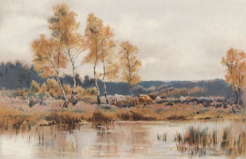 十月凛冽的寒霜之后（chromolitho） 作者 英语学校