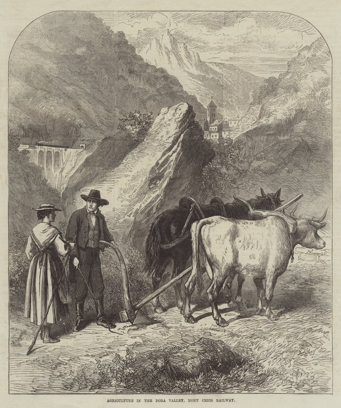 多拉谷的农业，Mont Cenis 铁路（雕刻） 作者 英语学校