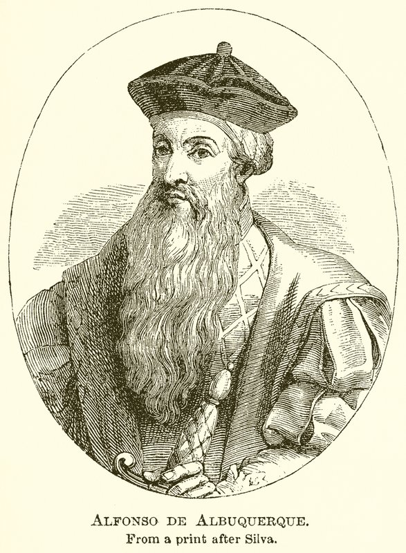 Alfonso de Albuquerque 作者 英语学校