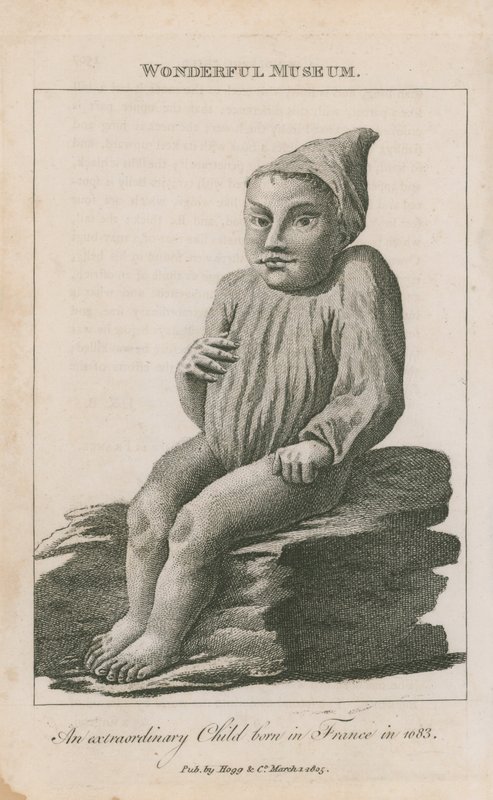 一个非凡的孩子，1683年出生于法国 作者 英语学校