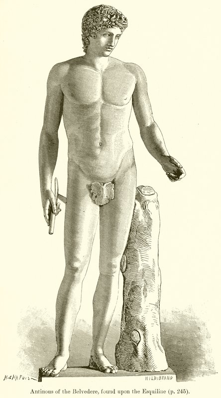 在Esquiline上发现的Belvedere的Antinous 作者 英语学校