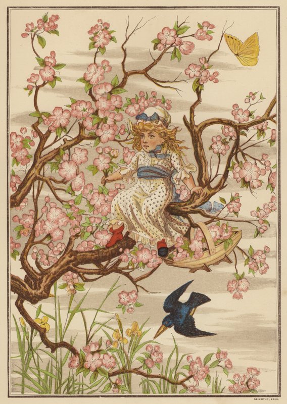 苹果花（彩色平版） 作者 英语学校