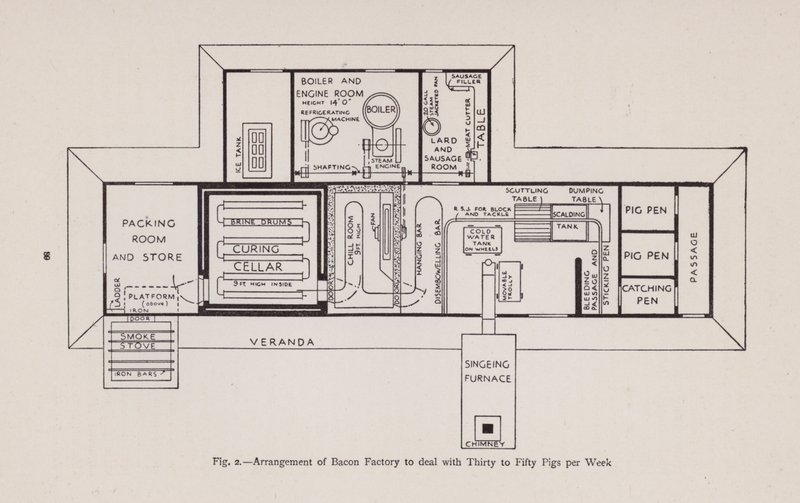 Arrangement of bacon factory to deal with thirty to fifty pigs per week (litho) 作者 英语学校