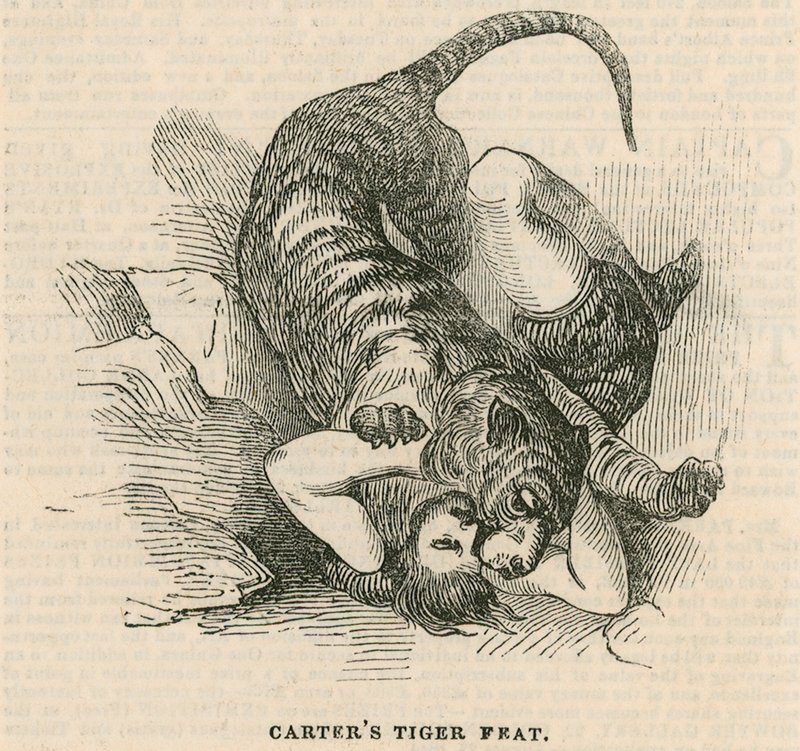 Astleys Amphitheatre，伦敦 -  Carters tiger feat 作者 英语学校