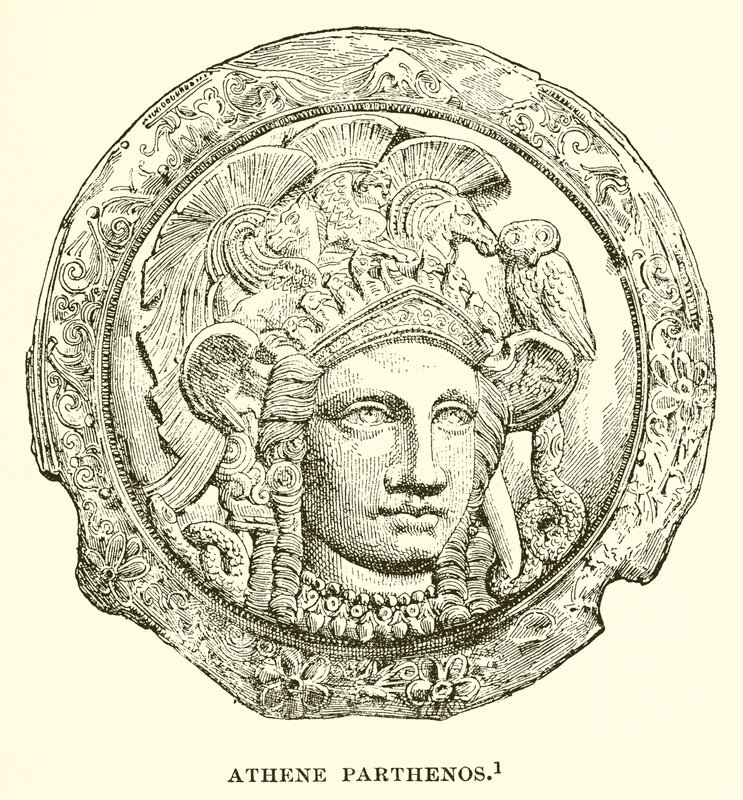 Athene Parthenos 作者 英语学校