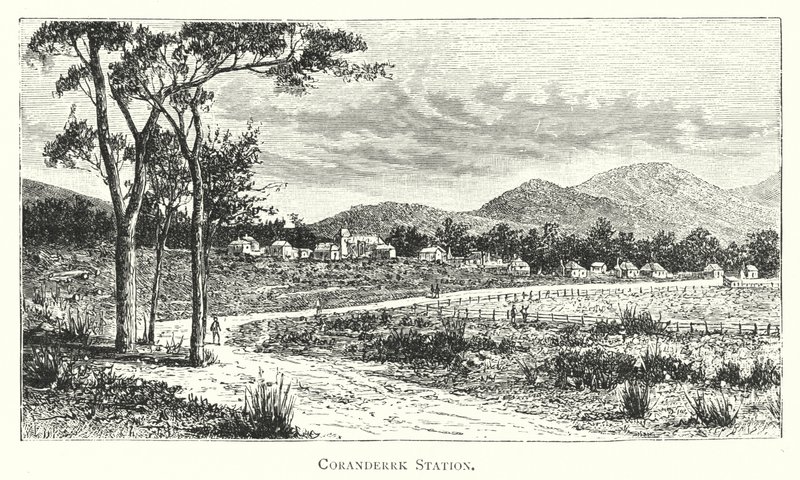 Australia: Coranderrk Station (engraving) 作者 英语学校