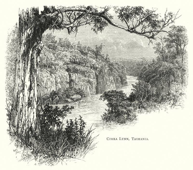 Australia: Corra Lynn, Tasmania (engraving) 作者 英语学校