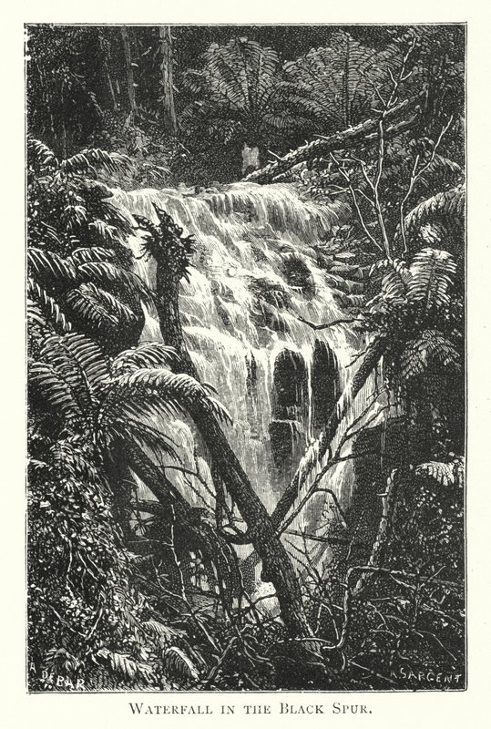 Australia: Waterfall in the Black Spur (engraving) 作者 英语学校