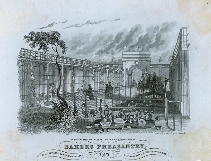 Bakers Pheasantry，切尔西 作者 英语学校