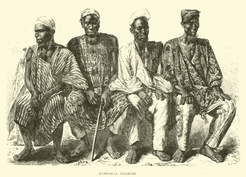 Bambarra Pilgrims 作者 英语学校