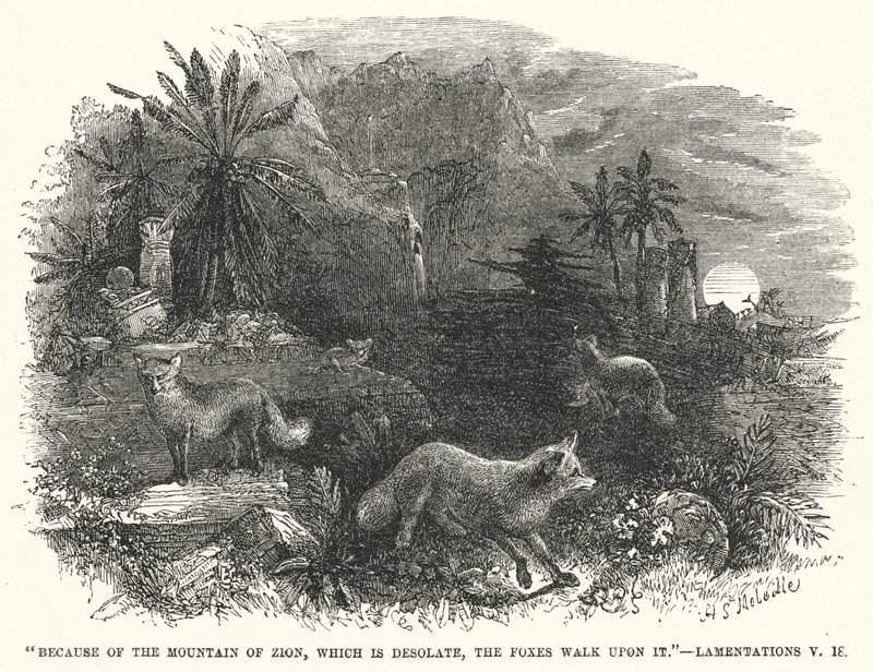 Because of the Mountain of Zion, which is desolate, the foxes walk upon it, Lamentations V 作者 英语学校