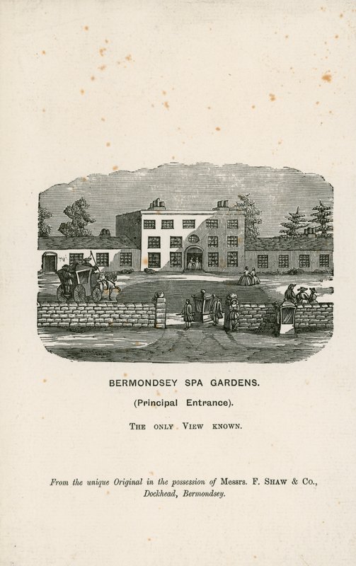 Bermondsey温泉花园 作者 英语学校