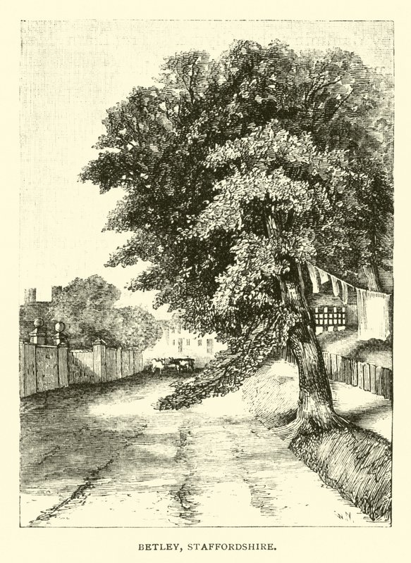 Betley，斯塔福德郡 作者 英语学校