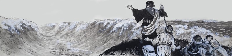 圣经的海景 作者 英语学校