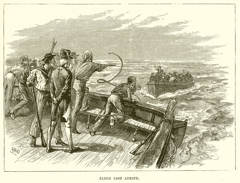 Bligh Cast Adrift 作者 英语学校