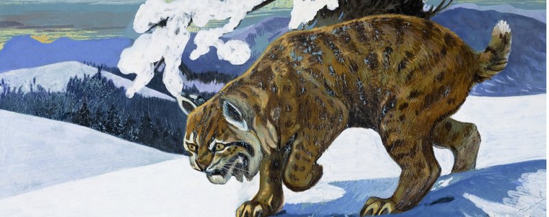 山猫 作者 英语学校