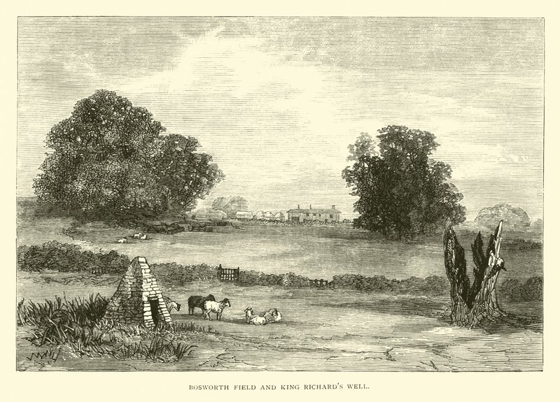 Bosworth Field和King Richards Well 作者 英语学校