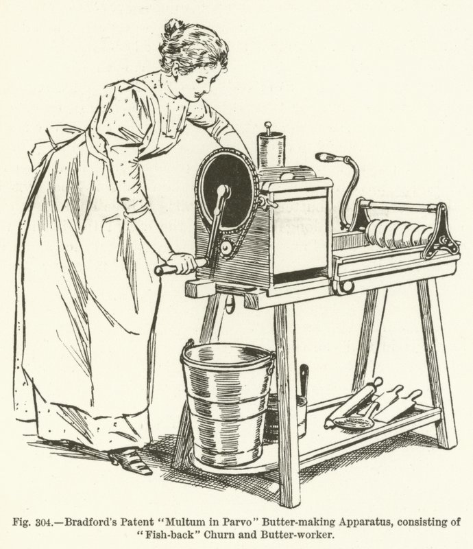 Bradfords专利Multum in Parvo Butter-making Apparatus，包括Fish-back Churn和Butter-worker 作者 英语学校