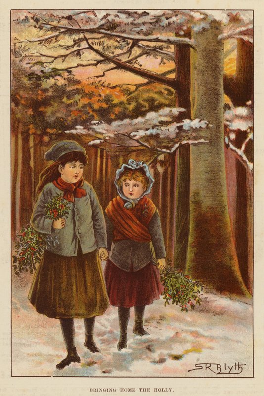 把冬青带回家》（彩色印刷版） 作者 英语学校