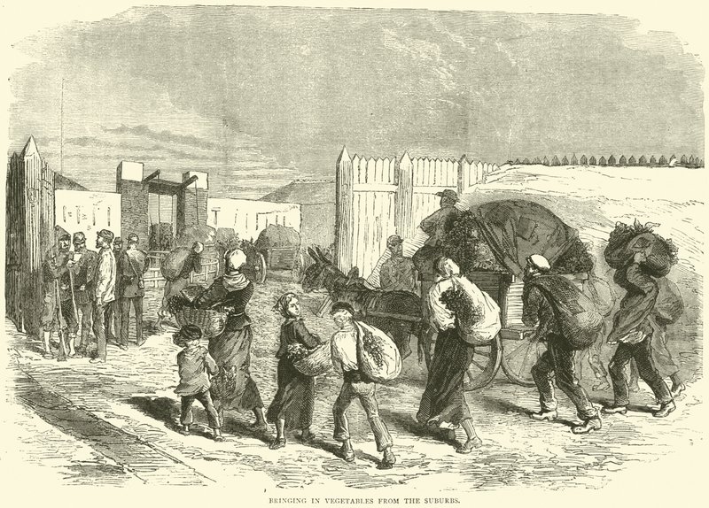 1870年10月，从郊区带来蔬菜 作者 英语学校