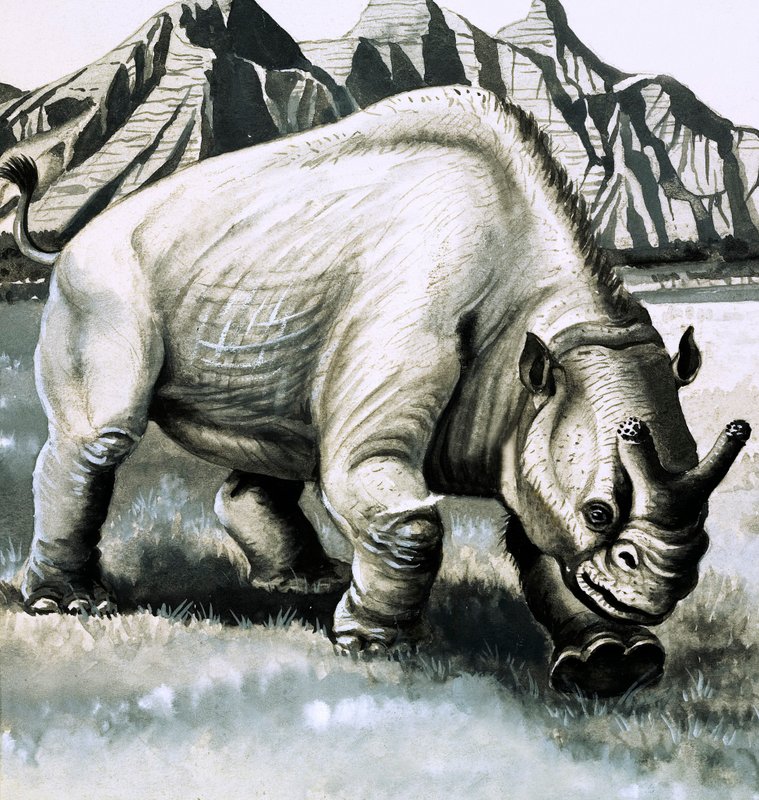 来自渐新世时代的Brontotherium 作者 英语学校