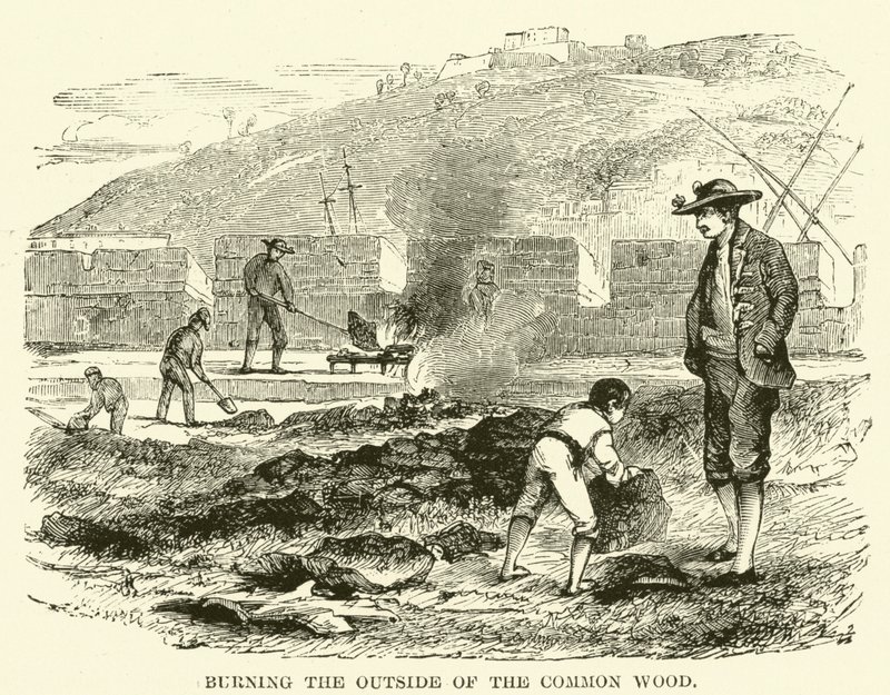 Burning the outside of the common wood (engraving) 作者 英语学校