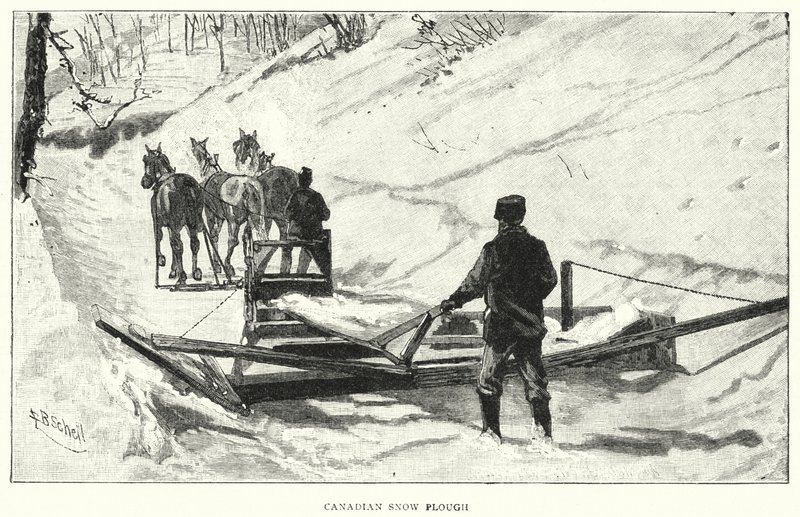 加拿大雪犁（雕刻） 作者 英语学校