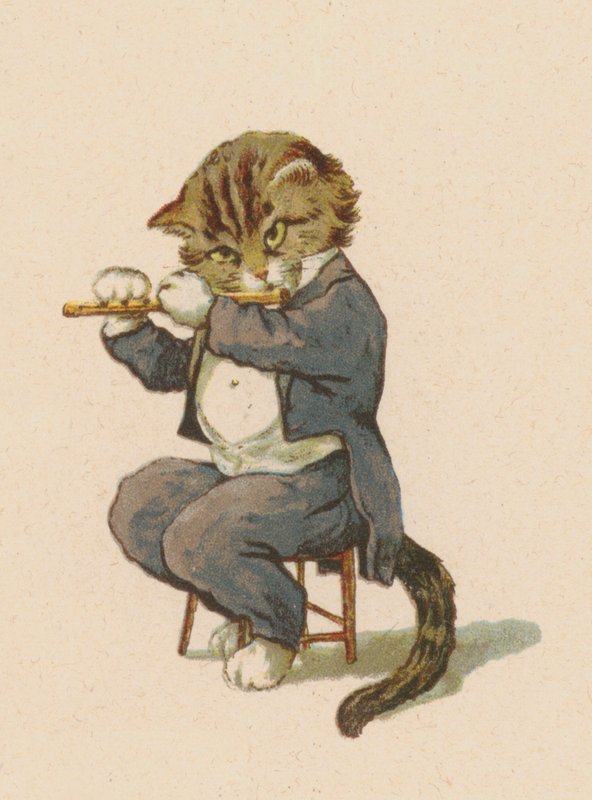 猫在吹长笛（chromolitho）。 作者 英语学校