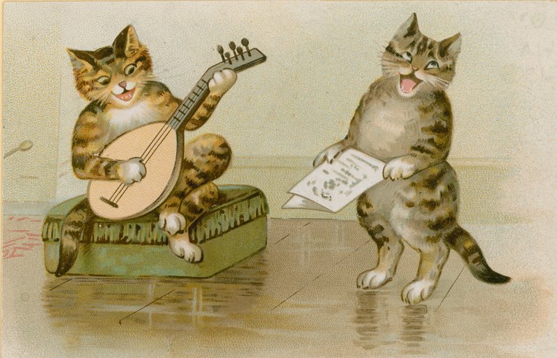 猫制作音乐 作者 英语学校