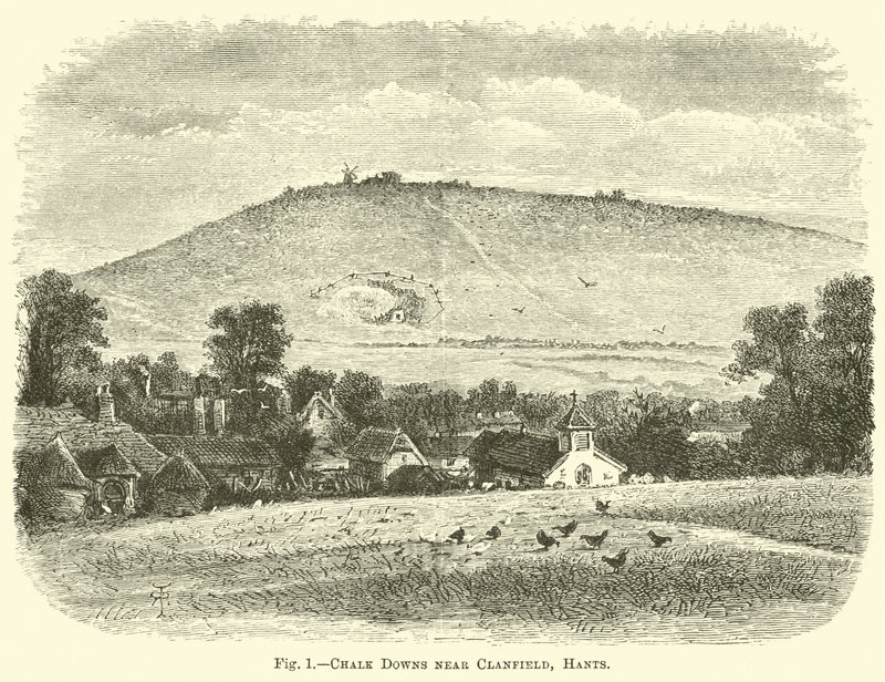 Chals Clanfield附近的Chalk Downs 作者 英语学校