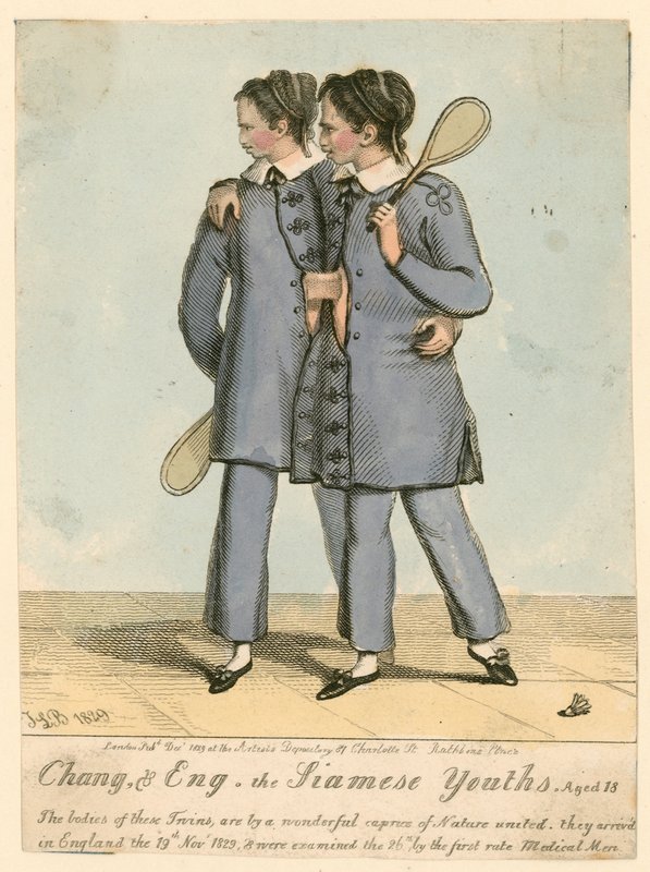 Chang and Eng，暹罗青年，18岁 作者 英语学校