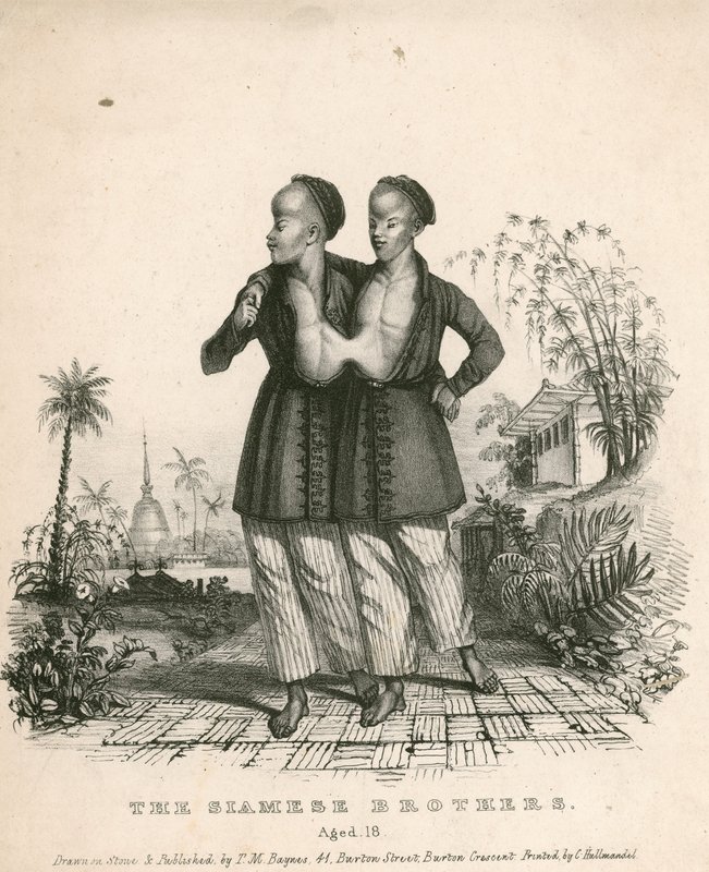 Chang and Eng，暹罗青年，18岁 作者 英语学校
