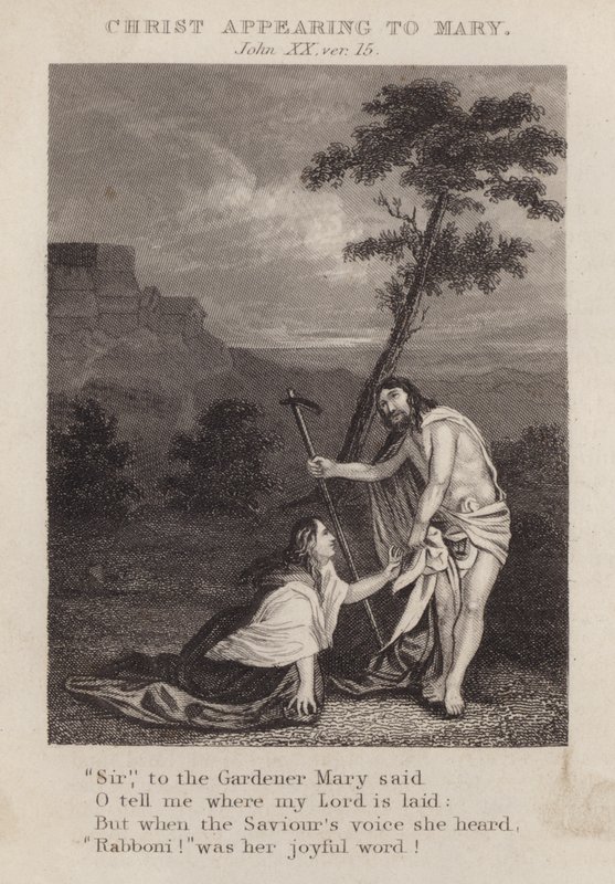 Christ appearing to Mary, John XX, ver 15 (engraving) 作者 英语学校