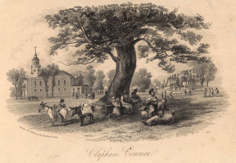 Clapham Common，萨里 作者 英语学校