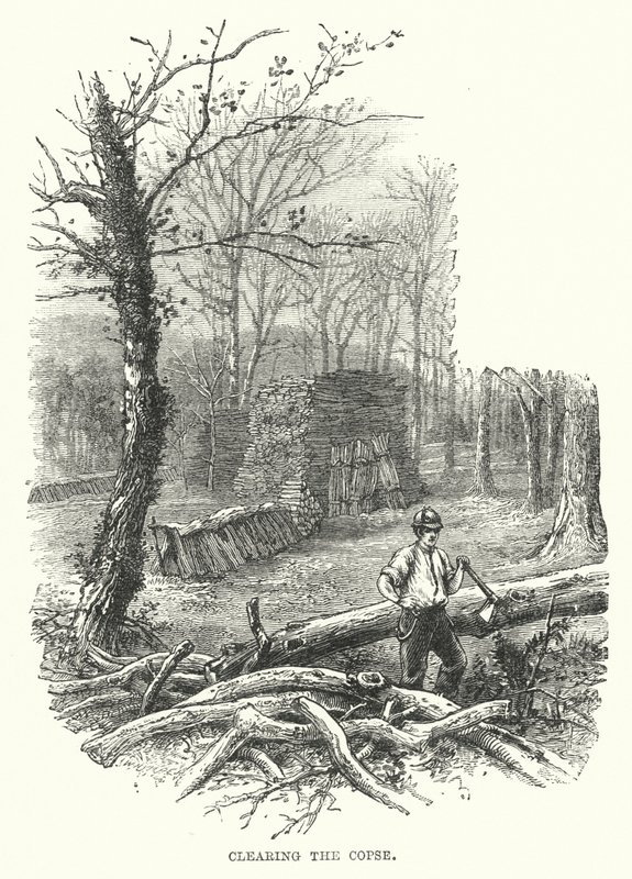 Clearing the copse (engraving) 作者 英语学校