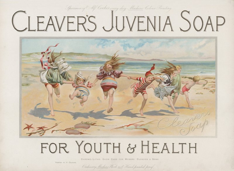 Cleavers Juvenia Soap for Youth＆Health 作者 英语学校