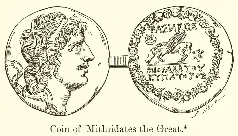 Mithridates the Great的硬币 作者 英语学校