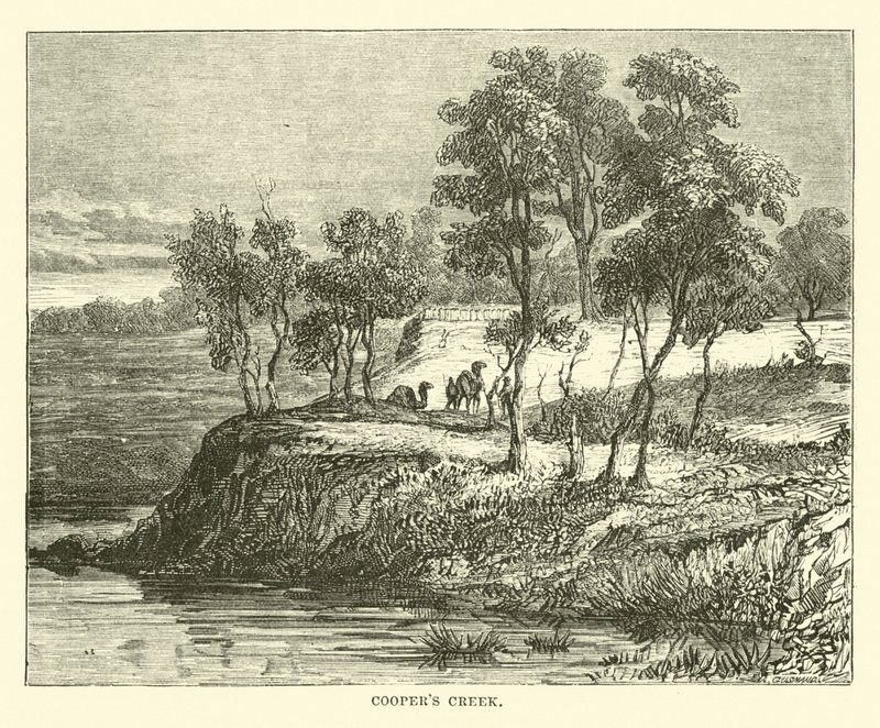Coopers Creek 作者 英语学校