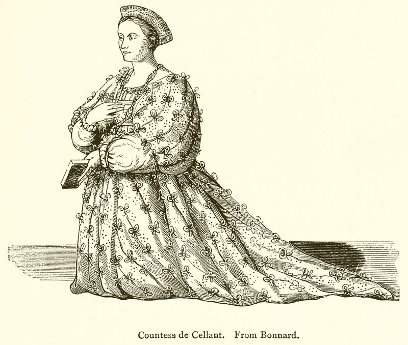 Countess de Cellant 作者 英语学校