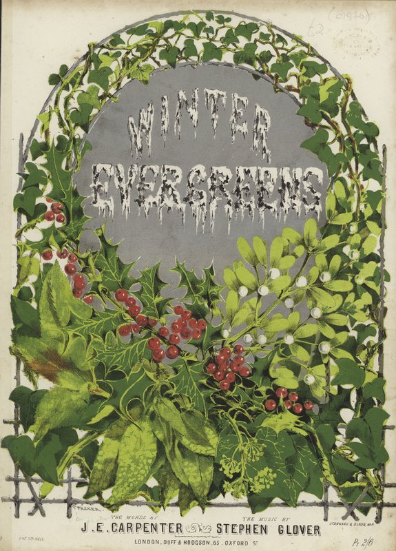Winter Evergreens的封面 作者 英语学校