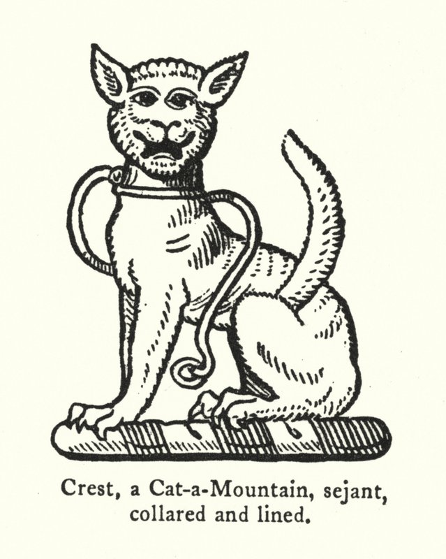 Crest, a Cat-a-Mountain, sejant, 领子和内衬 (雕刻) 作者 英语学校
