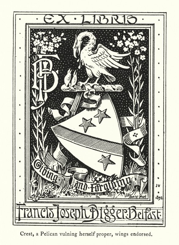 Crest，一只鹈鹕伤害了自己，翅膀背书（雕刻） 作者 英语学校