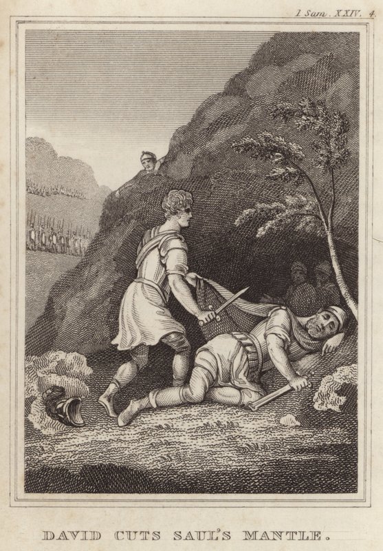 David Cuts Sauls Mantle 作者 英语学校