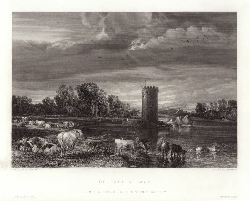 来自Tabley Park 作者 英语学校