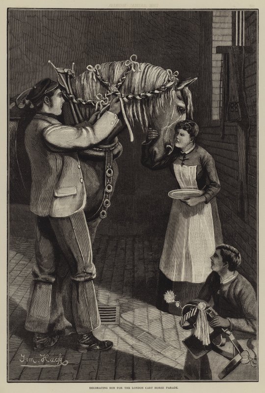Decorating him for the London Cart Horse Parade (engraving) 作者 英语学校