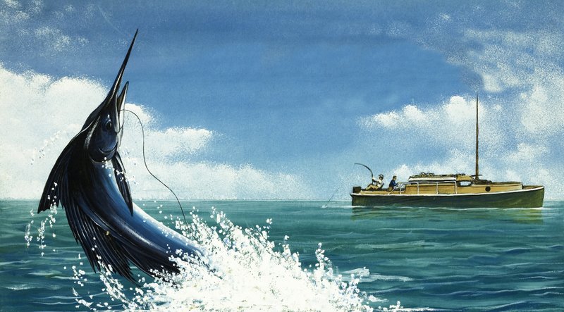 深海渔夫钩箭鱼 作者 英语学校